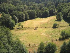 Prodej pozemku pro bydlení, Olešnice v Orlických horách, 3118 m2