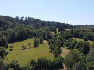 Prodej pozemku pro bydlení, Olešnice v Orlických horách, 2088 m2