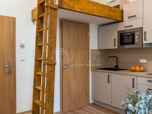 Pronájem bytu 1+kk, Praha - Nové Město, Sokolská, 17 m2