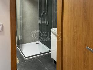 Pronájem bytu 1+kk, Praha - Nové Město, Sokolská, 17 m2