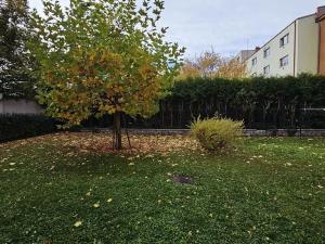 Pronájem bytu 1+1, Kroměříž, Smetanova, 39 m2