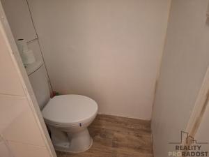 Pronájem bytu 1+kk, Děčín, Kamenická, 20 m2