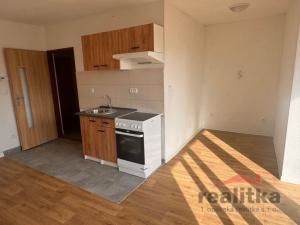 Pronájem bytu 1+kk, Opava, Přemyslovců, 27 m2
