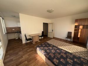 Pronájem bytu 1+kk, Pardubice - Polabiny, Družby, 34 m2