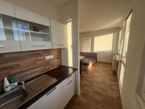 Pronájem bytu 1+kk, Pardubice - Polabiny, Družby, 34 m2