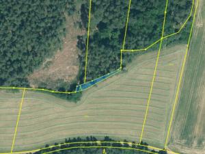 Prodej lesa, Manětín - Stvolny, 12970 m2