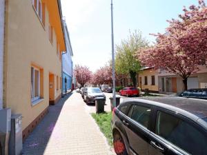 Pronájem bytu 1+1, Brno, Cacovická, 46 m2