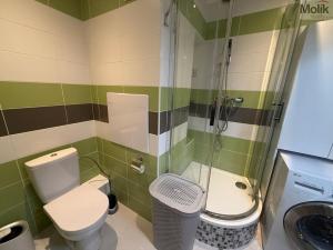 Pronájem bytu 2+kk, Most, Josefa Suka, 50 m2