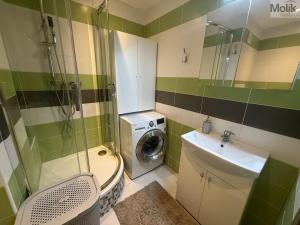 Pronájem bytu 2+kk, Most, Josefa Suka, 50 m2