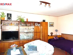 Prodej rodinného domu, Tis u Blatna, 100 m2