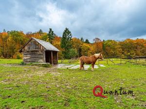 Prodej rodinného domu, Ždírec, 336 m2