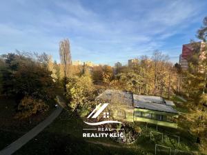 Pronájem bytu 1+1, Ostrava, Josefa Kotase, 38 m2