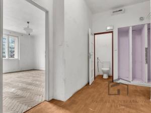 Prodej bytu 1+1, Praha - Nusle, Družstevní, 50 m2