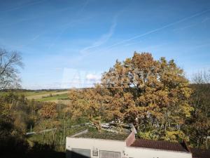 Pronájem bytu 1+1, Náměšť nad Oslavou, 33 m2