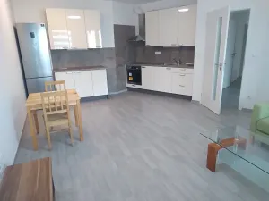 Pronájem bytu 3+kk, Praha - Žižkov, Olgy Havlové, 71 m2