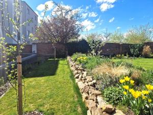 Pronájem bytu 2+kk, Písek - Budějovické Předměstí, Mírové nám., 53 m2