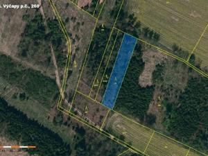 Prodej lesa, Výčapy, 1459 m2