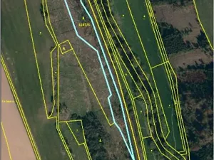 Prodej lesa, Brtnice, 7135 m2