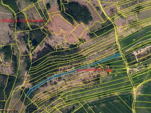 Prodej podílu lesa, Dolní Cerekev, 11817 m2