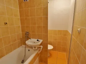 Pronájem bytu 1+1, Ústí nad Labem, Maková, 36 m2