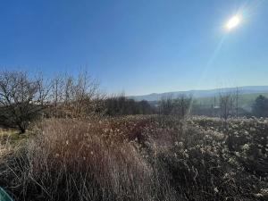 Dražba pole, Lovečkovice, 21494 m2