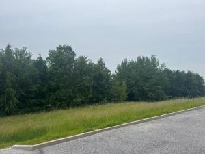 Dražba pozemku pro bydlení, Slavče, 1251 m2