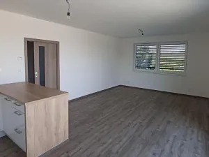 Pronájem bytu 3+kk, Olomouc, Frištenského, 110 m2