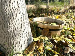 Prodej rodinného domu, Jiřice, 137 m2