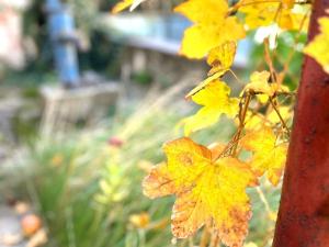 Prodej rodinného domu, Jiřice, 137 m2