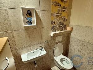 Pronájem bytu 3+1, Opava, Ratibořská, 75 m2