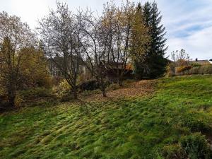 Prodej bytu 3+kk, Bayerisch Eisenstein, Německo, Brennesstraße, 55 m2