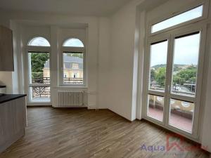 Pronájem bytu 1+1, Karlovy Vary, nábřeží Jana Palacha, 58 m2