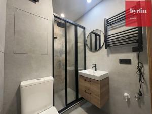 Pronájem bytu 1+kk, Opava, Ratibořská, 22 m2