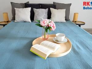 Pronájem bytu 2+kk, Český Brod, Klučovská, 62 m2