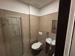 Pronájem bytu 1+kk, Čáslav - Čáslav-Nové Město, Boženy Němcové, 27 m2