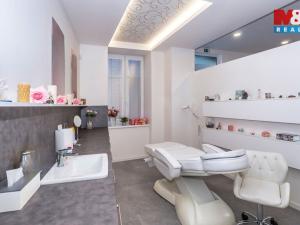 Prodej rodinného domu, Brno - Komárov, Plotní, 480 m2