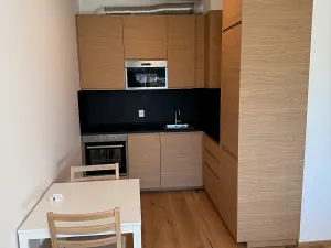 Pronájem bytu 2+kk, Brno, Hlinky, 44 m2