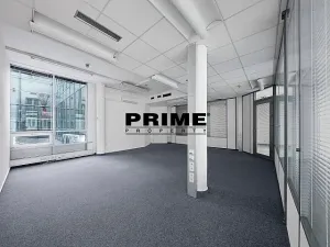 Pronájem kanceláře, Praha - Nové Město, Krakovská, 412 m2
