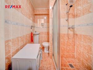 Pronájem bytu 1+kk, Kolín, Dělnická, 20 m2