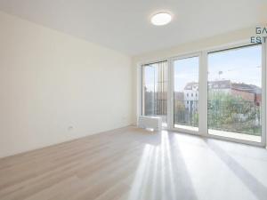 Pronájem bytu 1+kk, Brno, Dornych, 30 m2