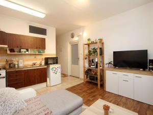 Prodej bytu 2+kk, Cihelna, Kunětická, 42 m2