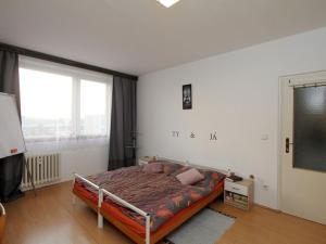 Prodej bytu 2+kk, Cihelna, Kunětická, 42 m2