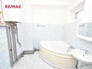 Prodej bytu 3+1, Otvovice, 192 m2