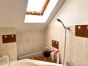 Prodej rodinného domu, Česká Kamenice, Lipová, 300 m2