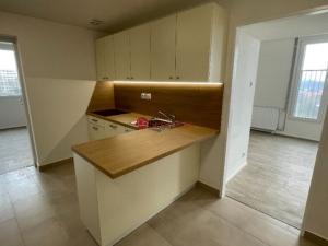 Pronájem bytu 2+1, Teplice - Trnovany, Antonína Sochora, 63 m2