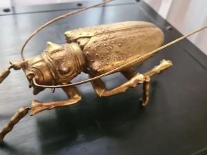 Pronájem bytu 2+1, Praha - Nové Město, Na výtoni, 85 m2