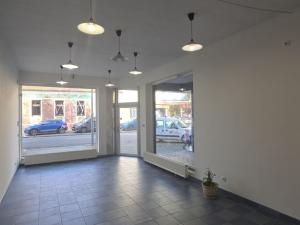 Pronájem obchodního prostoru, Hodonín, Štefánikova, 50 m2