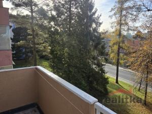 Pronájem bytu 3+1, Opava - Předměstí, Hradecká, 63 m2