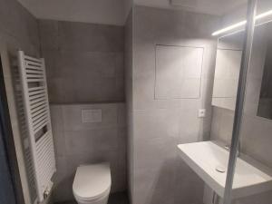 Pronájem bytu 1+kk, Olomouc, Aloise Rašína, 34 m2