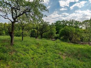 Prodej rodinného domu, Veliny, 157 m2